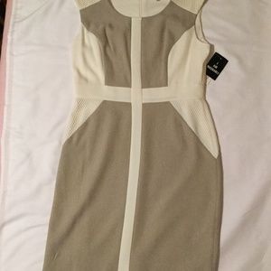 Two-Tone Dress